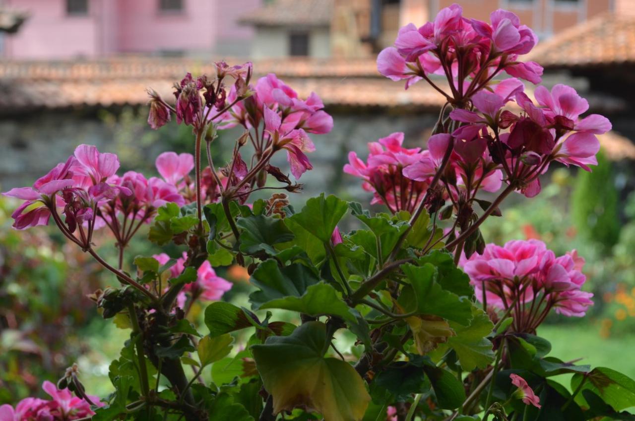 Guest House Zlatniyat Telets Koprivshtitsa Ngoại thất bức ảnh
